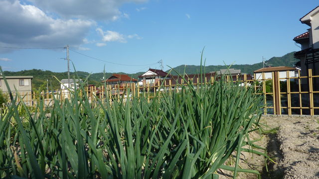 b0057612_1422202.jpg