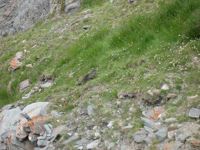 c0167813_1774233.jpg