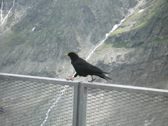 c0167813_1794690.jpg