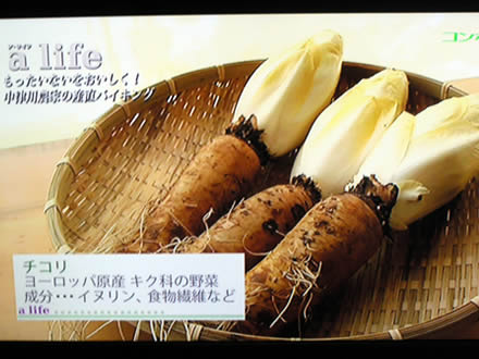 東海テレビ ア・ライフ ちこり村レストラン_d0063218_1113505.jpg
