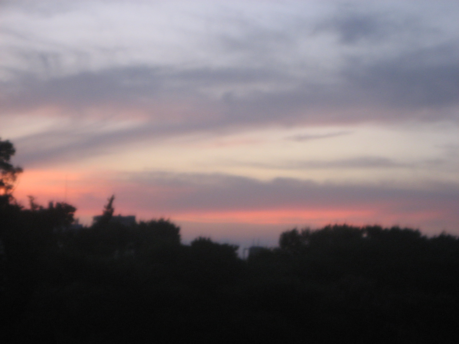 Night is Knight_d0179518_031336.jpg