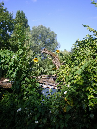 c0124619_23102950.jpg