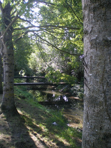 c0124619_23105116.jpg