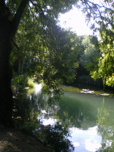 c0124619_2310781.jpg