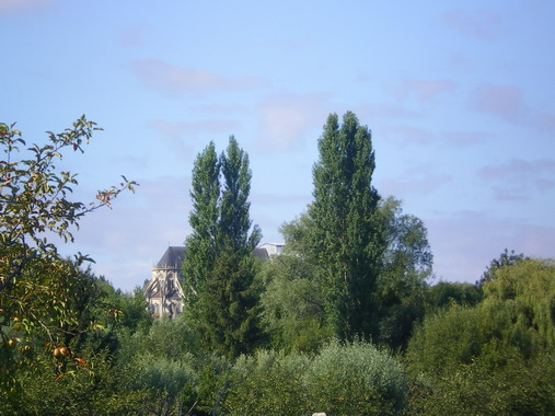 c0124619_231139100.jpg