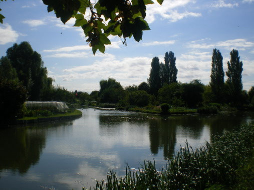 c0124619_23141839.jpg