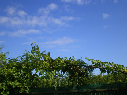 c0124619_2382380.jpg