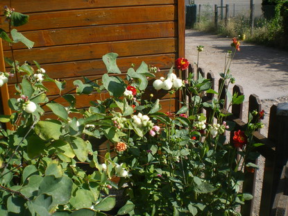 c0124619_238399.jpg