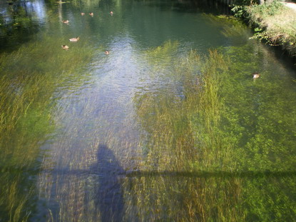 c0124619_239488.jpg