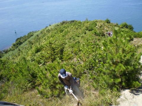 f0142721_16465354.jpg