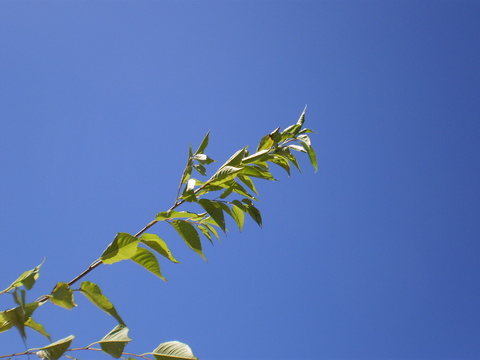 f0142721_16484558.jpg