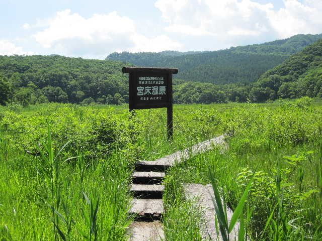 c0141223_1294890.jpg