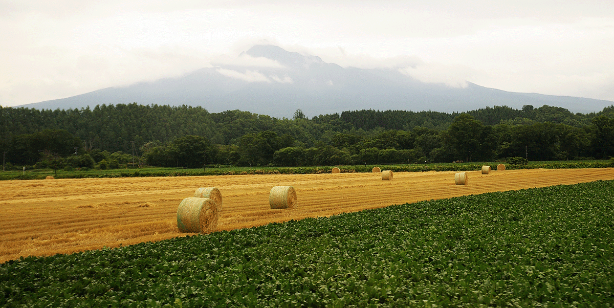 駆け足で巡る北海道道東旅行（２）_c0223825_10302397.gif