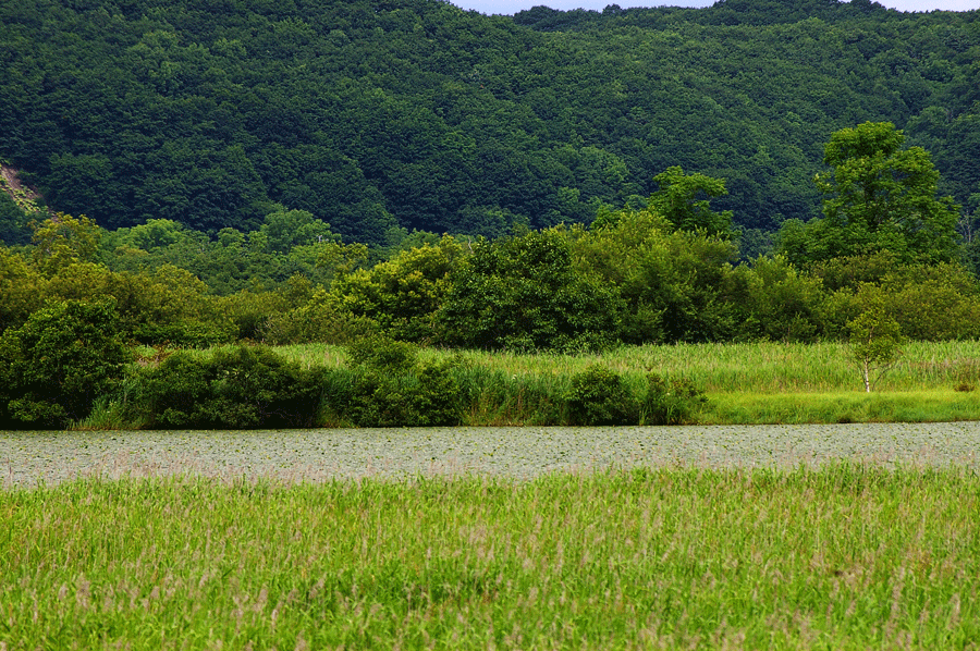 駆け足で巡る北海道道東旅行（２）_c0223825_9565343.gif