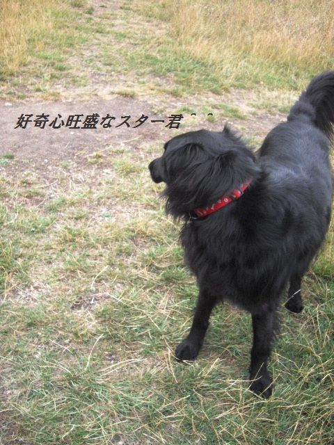 d0104926_0195041.jpg