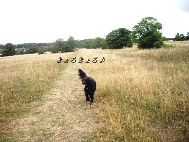 d0104926_0201933.jpg