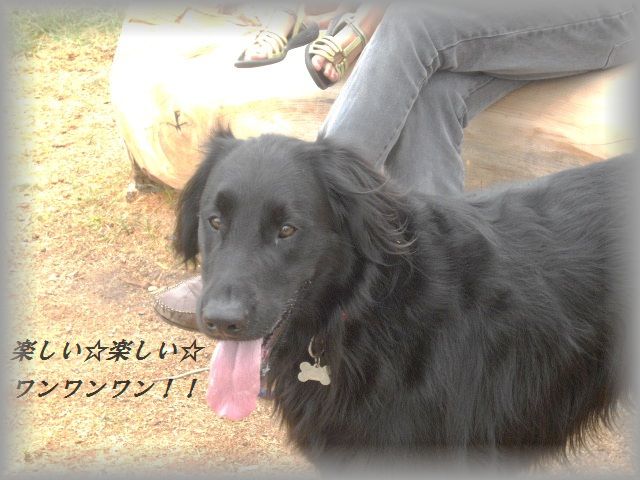 d0104926_0261712.jpg