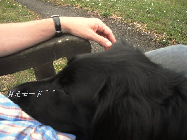 d0104926_0292981.jpg