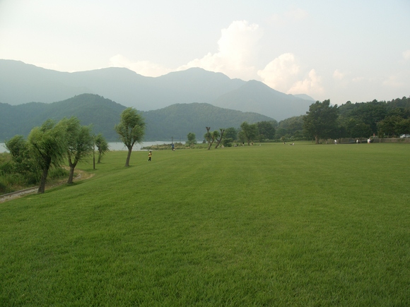 d0169732_8234145.jpg