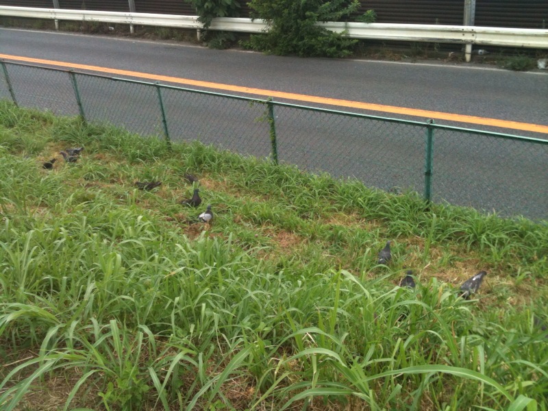 e0056232_1465581.jpg