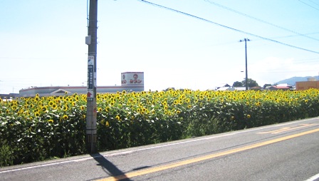 c0118235_1113087.jpg