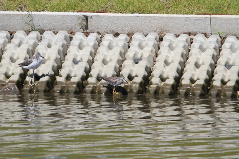 c0075539_17414791.jpg