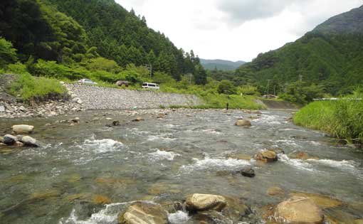 a0056140_9443615.jpg