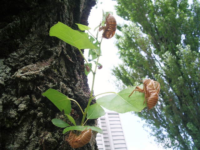 b0068541_01735.jpg
