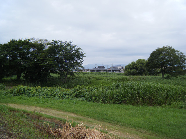b0088444_20571497.jpg