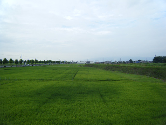 b0088444_20575573.jpg