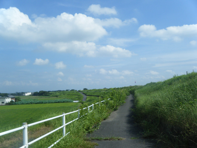 b0088444_21105462.jpg