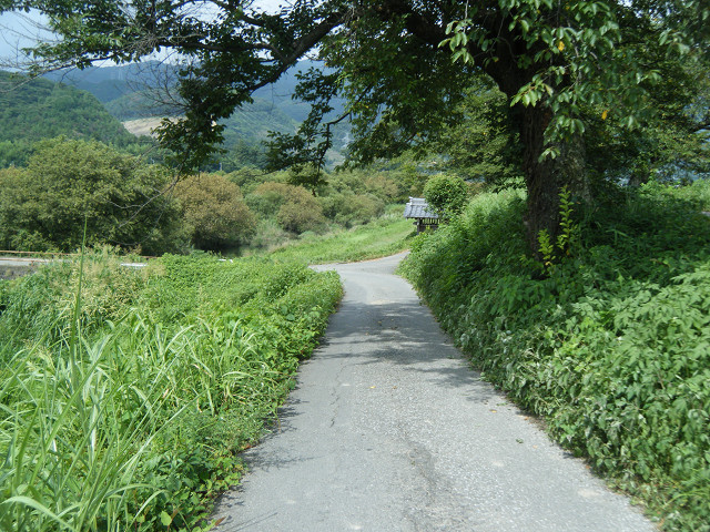 b0088444_21153866.jpg