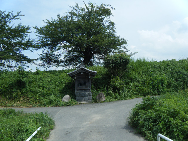 b0088444_21163429.jpg
