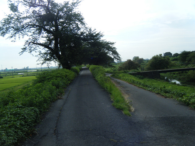 b0088444_2122986.jpg