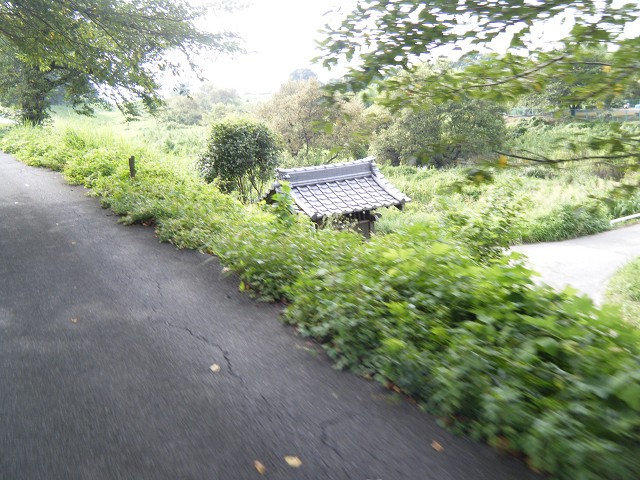 b0088444_213264.jpg