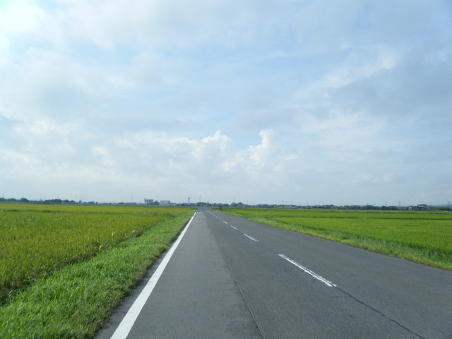 b0088444_214371.jpg