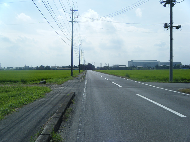 b0088444_2194864.jpg