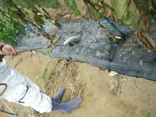 c0222448_11421955.jpg