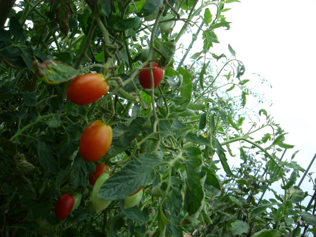c0222448_11423084.jpg