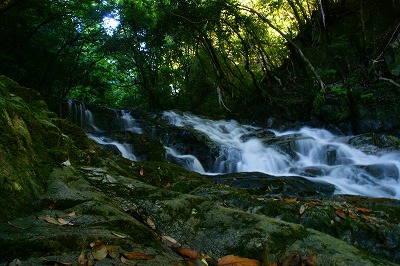 「消夏の金山」（１）_f0201348_19554696.jpg