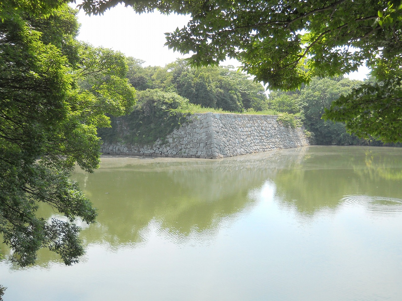 日本での夏休み_c0107149_7182392.jpg