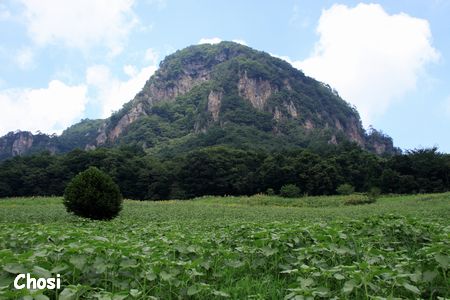 大人の夏休み～白根山_c0004750_1226119.jpg