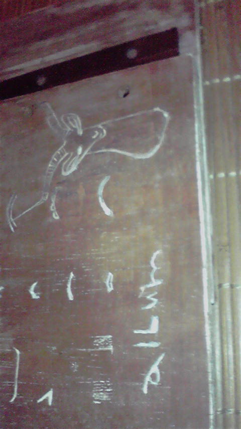a0080156_19593021.jpg