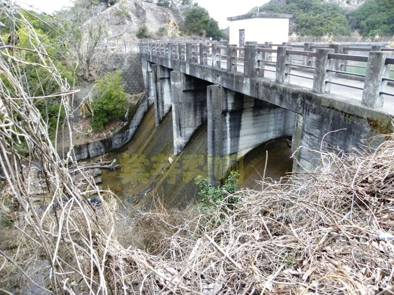 瀧の池 新池 大阪府泉佐野市上之郷 10年2月9日 棠芽梨婀 溜