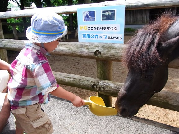 あぁ、夏休み_e0156263_10484853.jpg