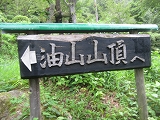 a0093965_1746325.jpg