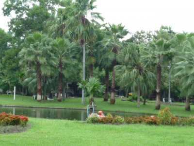 e0159865_0443244.jpg