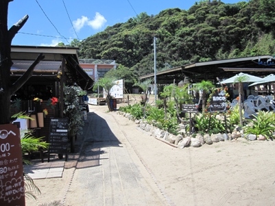 明山荘前の無人島＝三河大島で海水浴・・・体験レポート_e0176066_913926.jpg