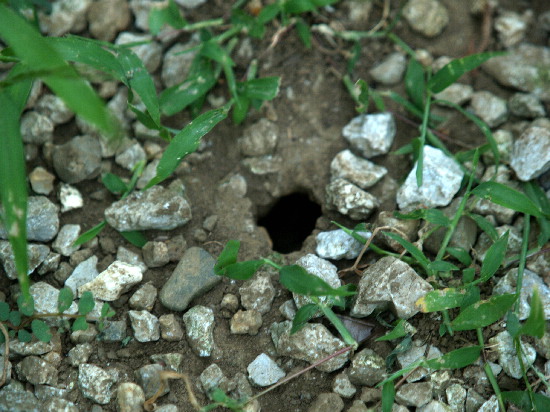 f0208666_171312100.jpg