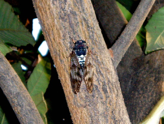 f0208666_17251954.jpg